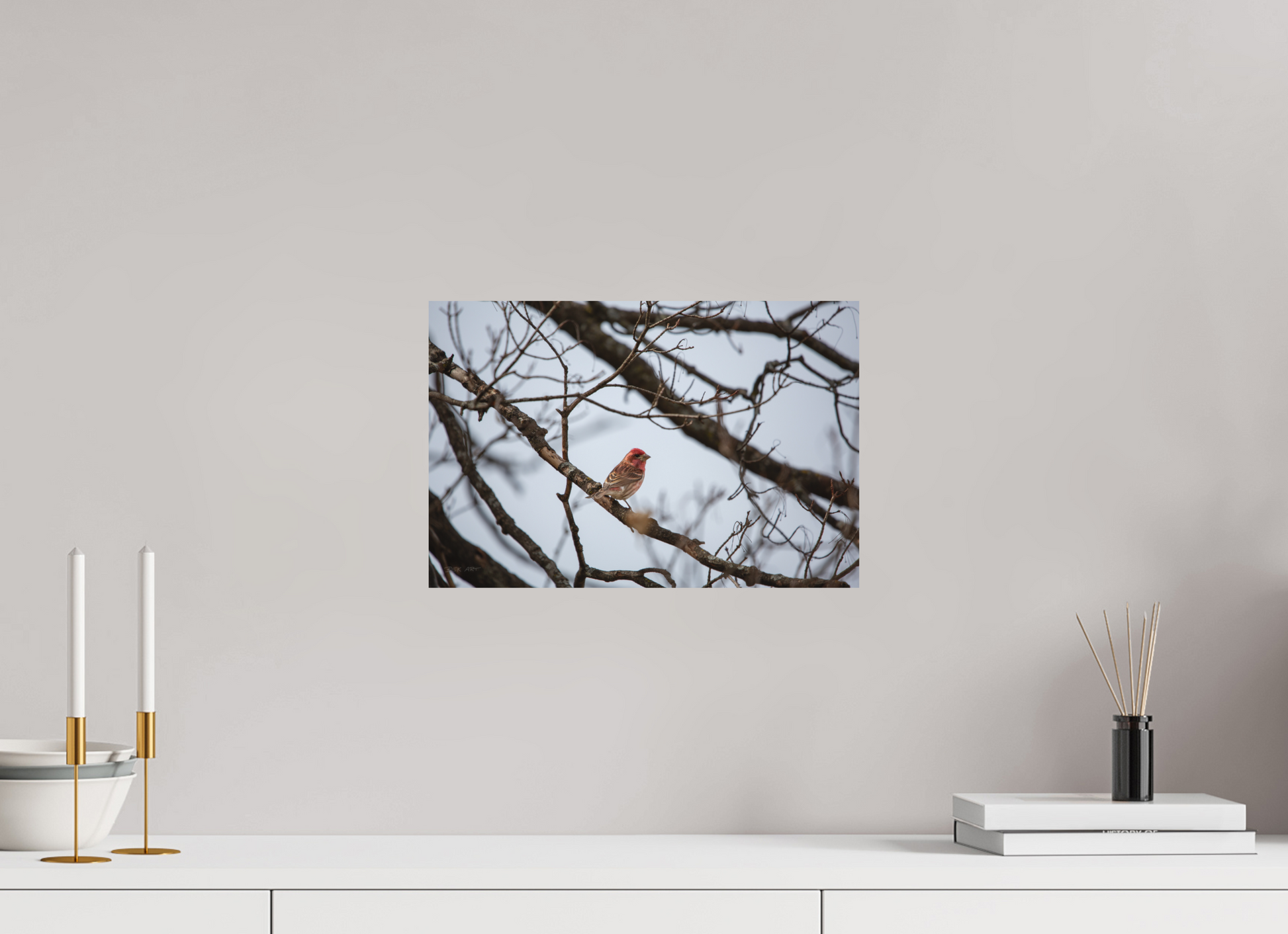 Purple Finch - Print Only