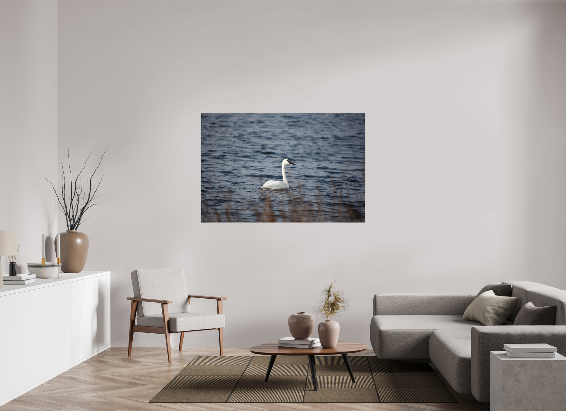 Tundra Swan - Print Only