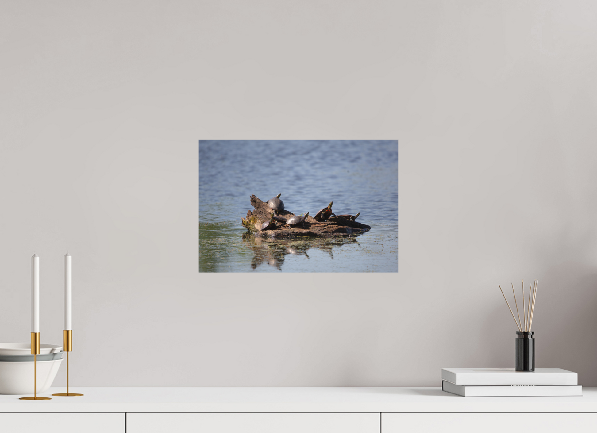 Turtle Team - Print Only