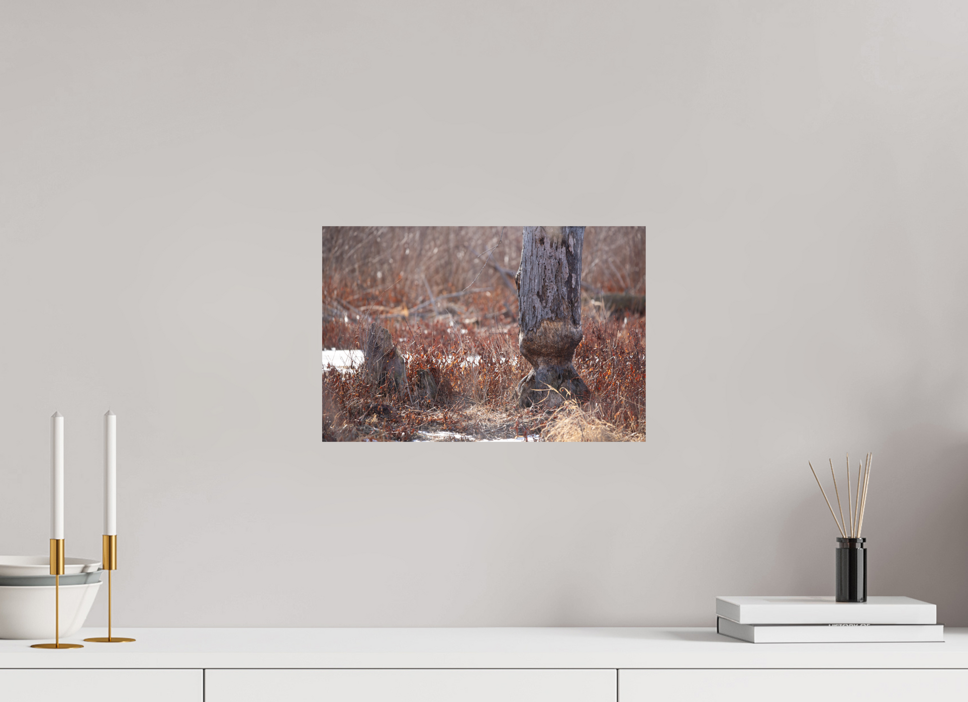 Busy Beaver - Print Only
