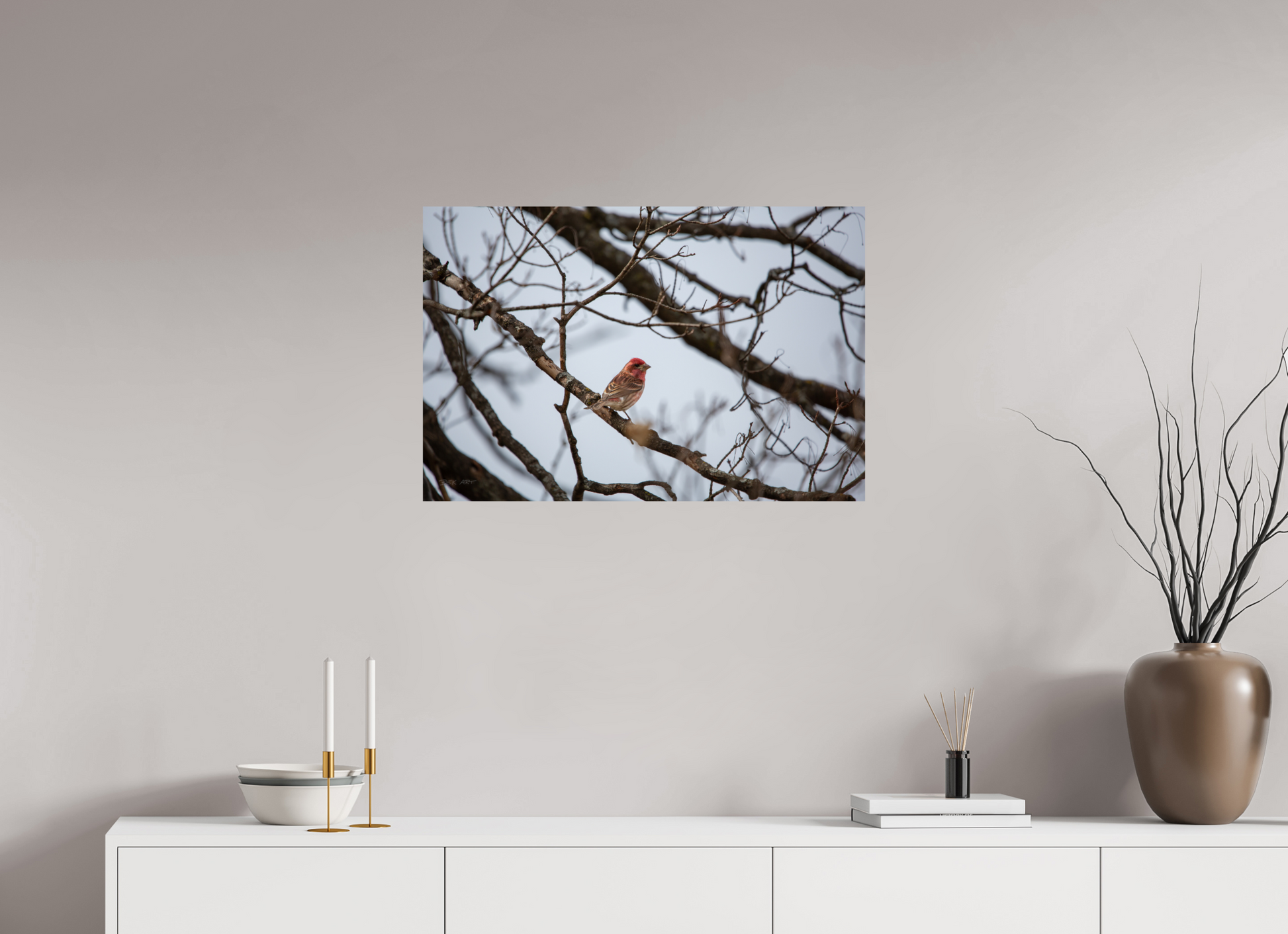 Purple Finch - Print Only