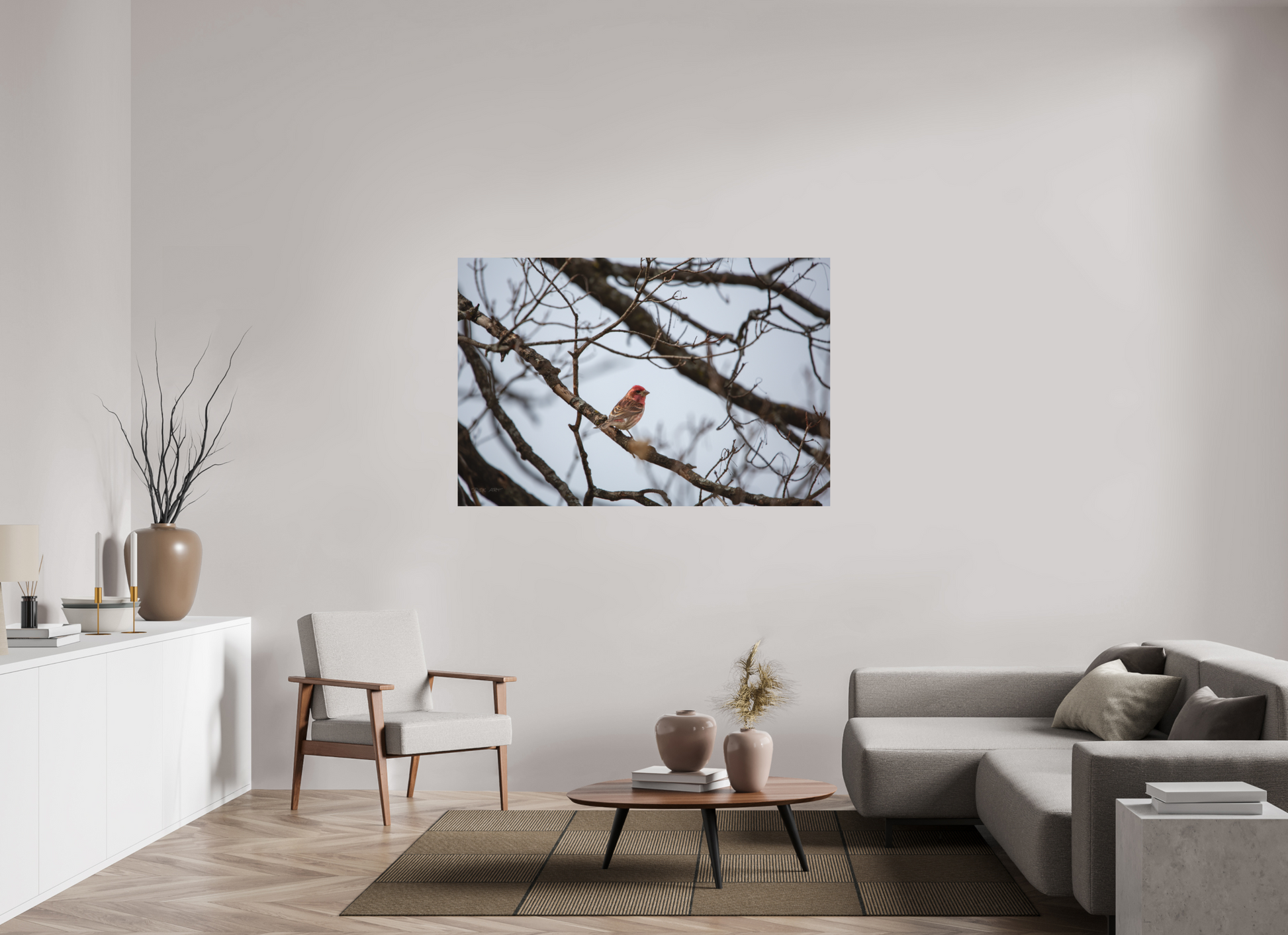 Purple Finch - Print Only