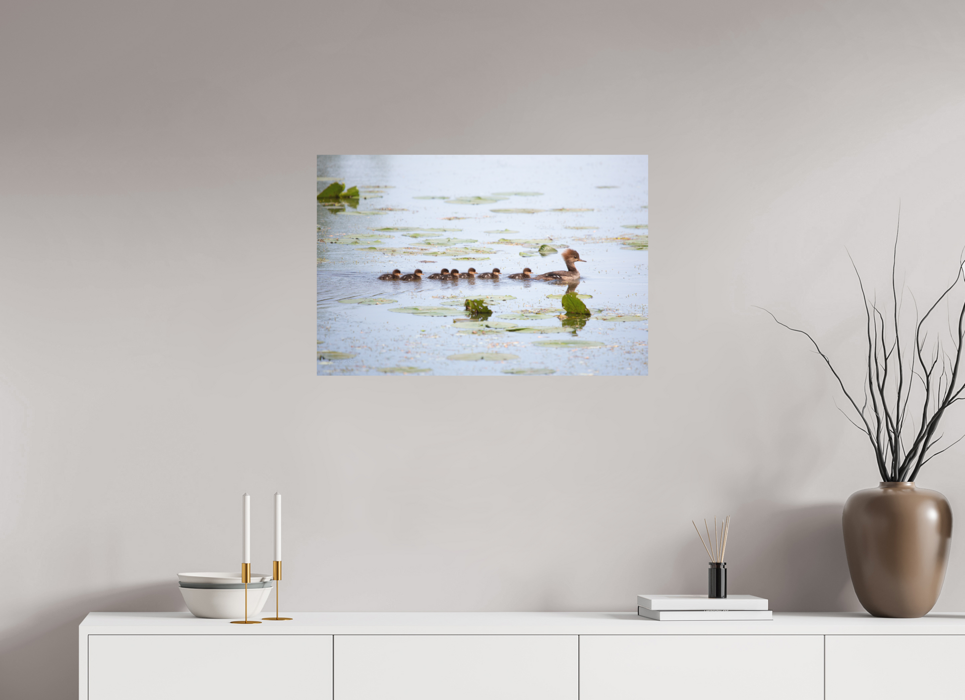 Hooded Merganser Momma - Print Only