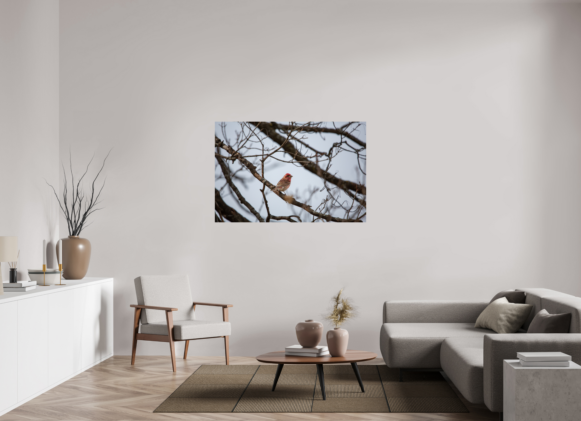 Purple Finch - Print Only