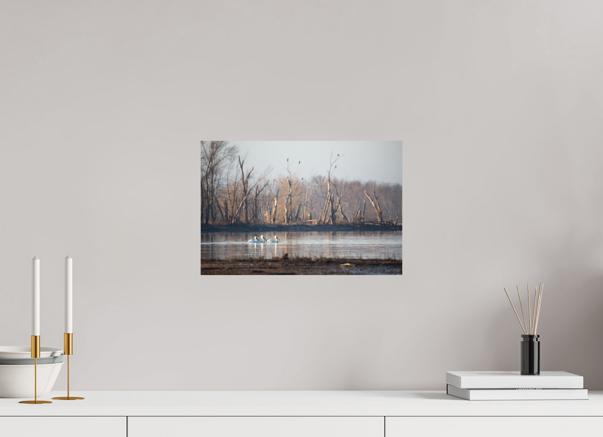 Pelicans with Eagle Background - Print Only