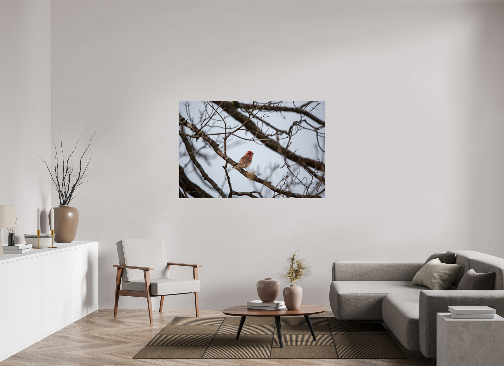 Purple Finch - Print Only