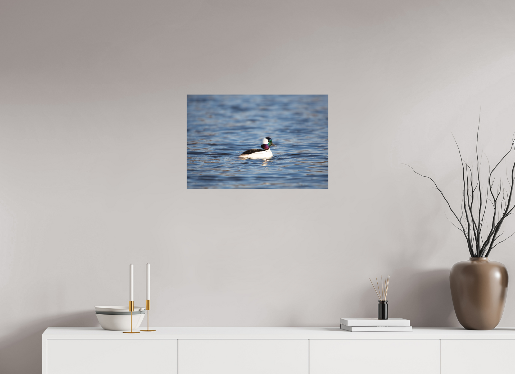 Bufflehead Colors - Print Only