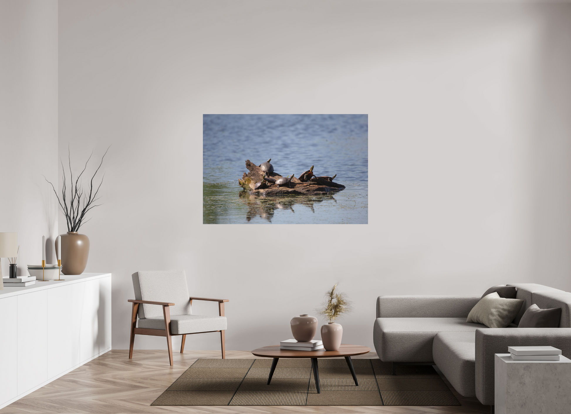 Turtle Team - Print Only