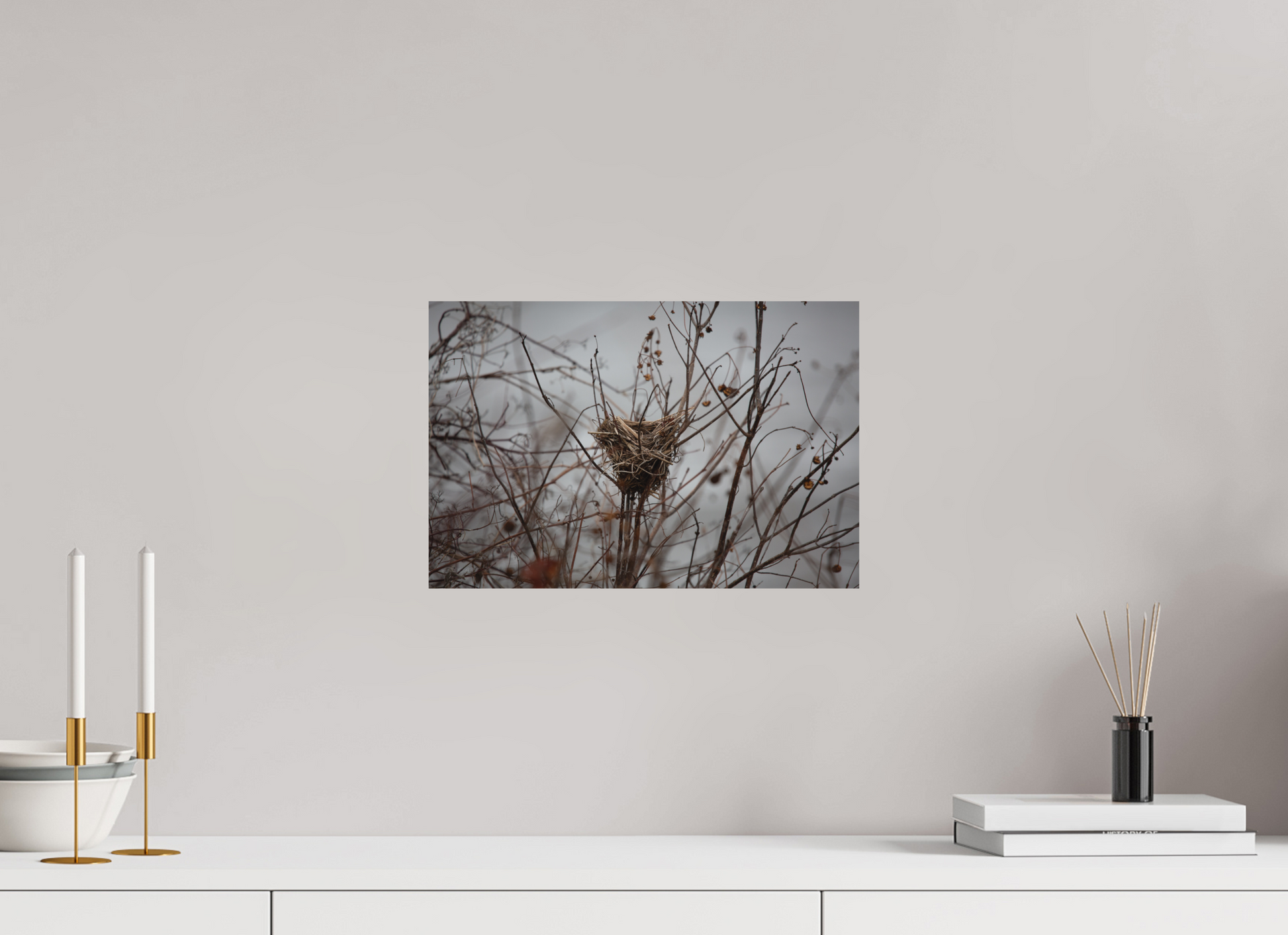 Bird Nest - Print Only