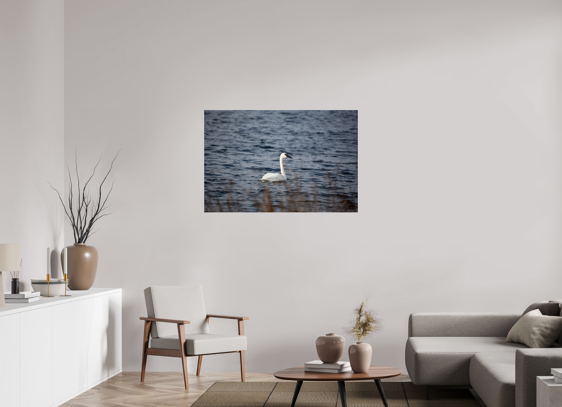 Tundra Swan - Print Only