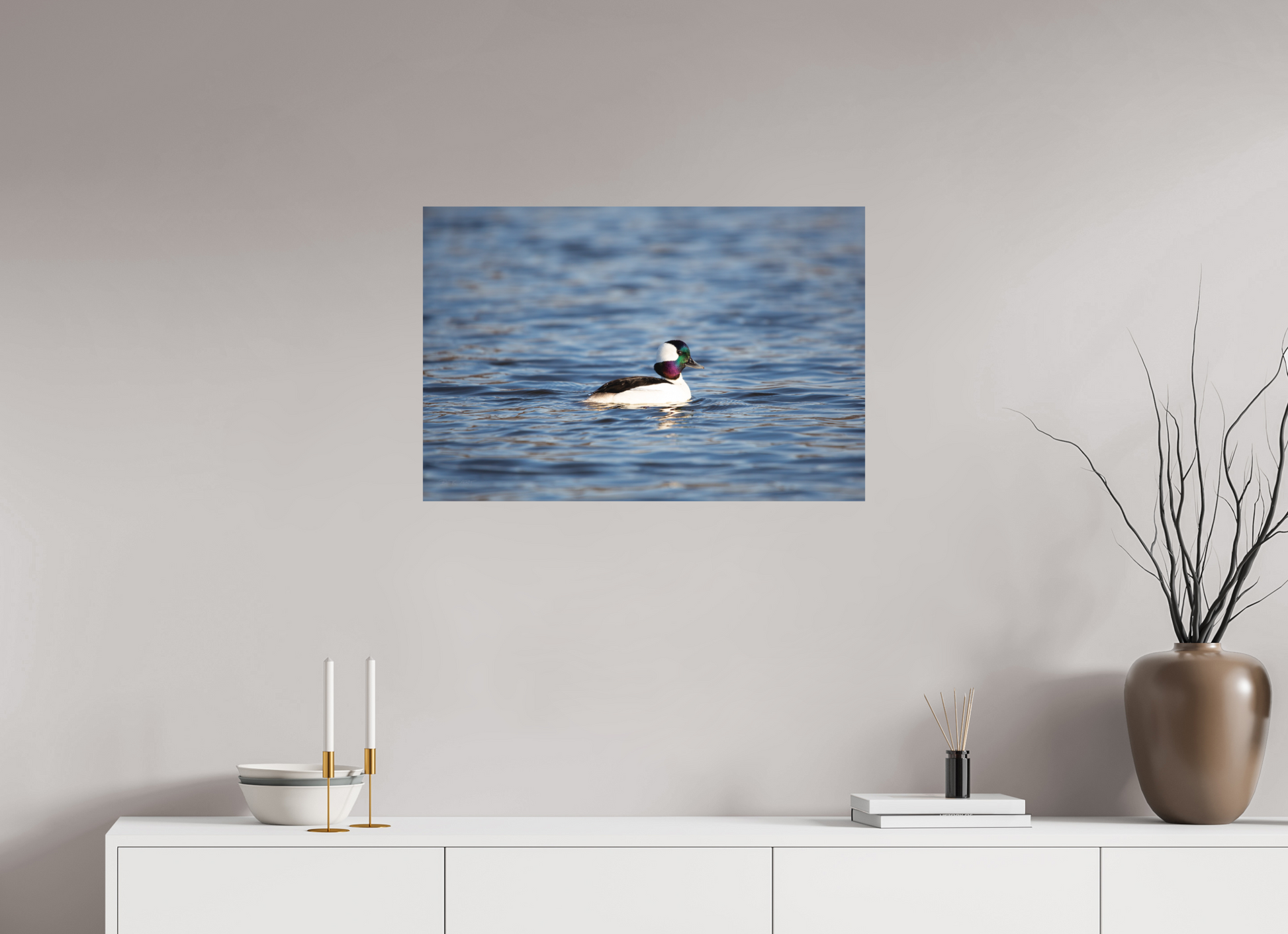 Bufflehead Colors - Print Only
