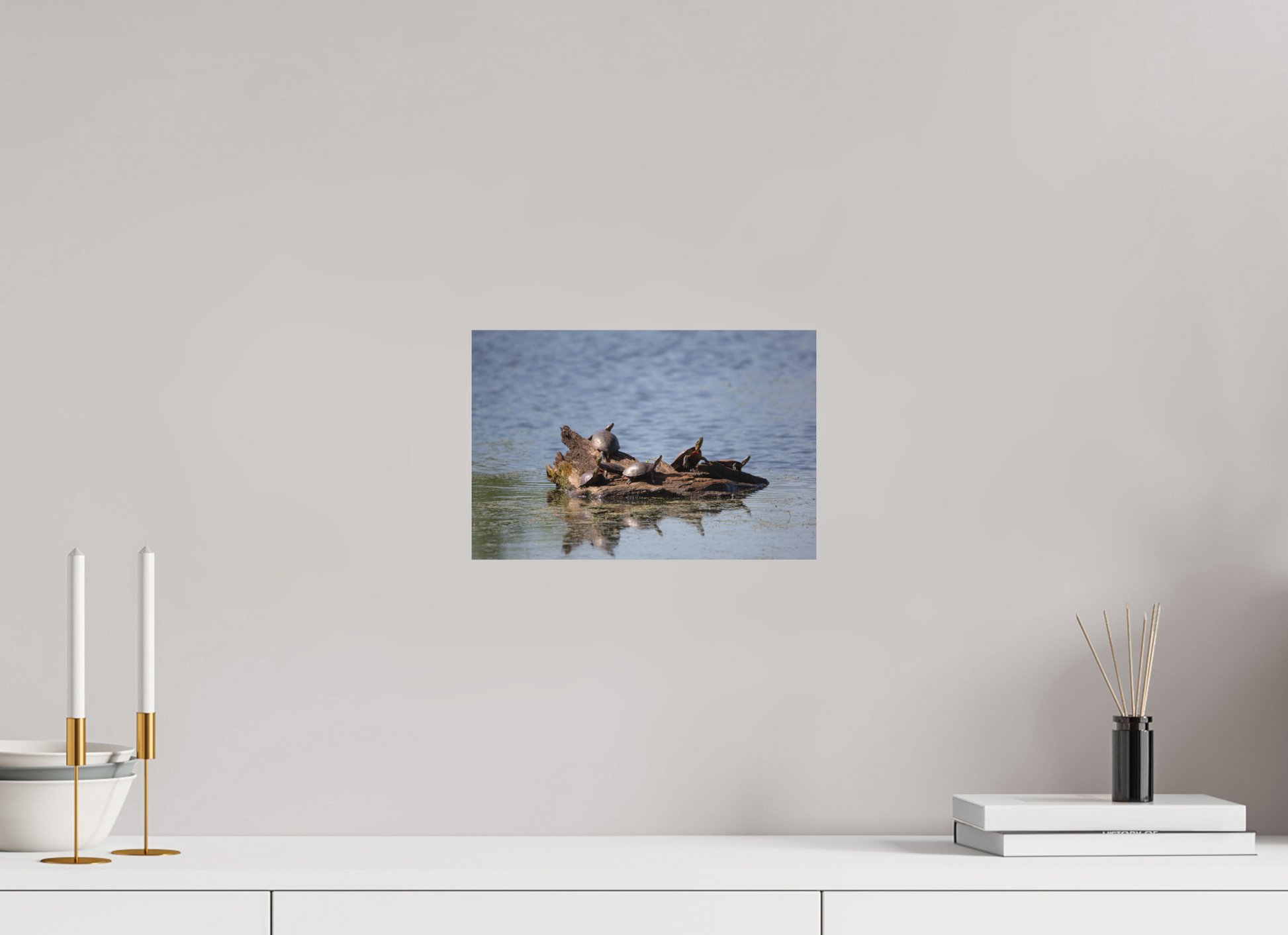 Turtle Team - Print Only
