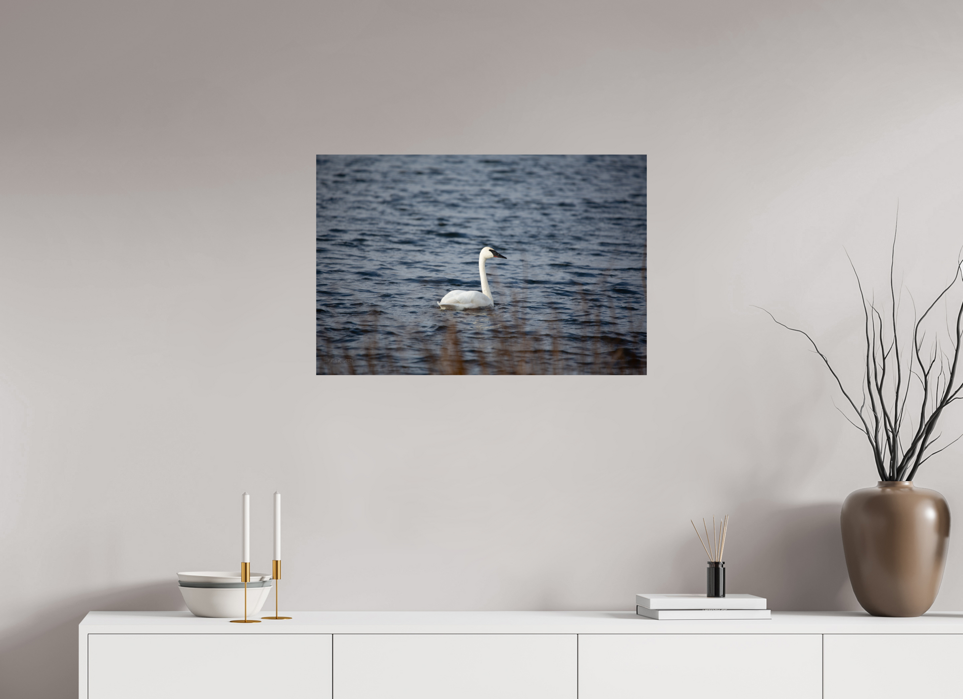 Tundra Swan - Print Only