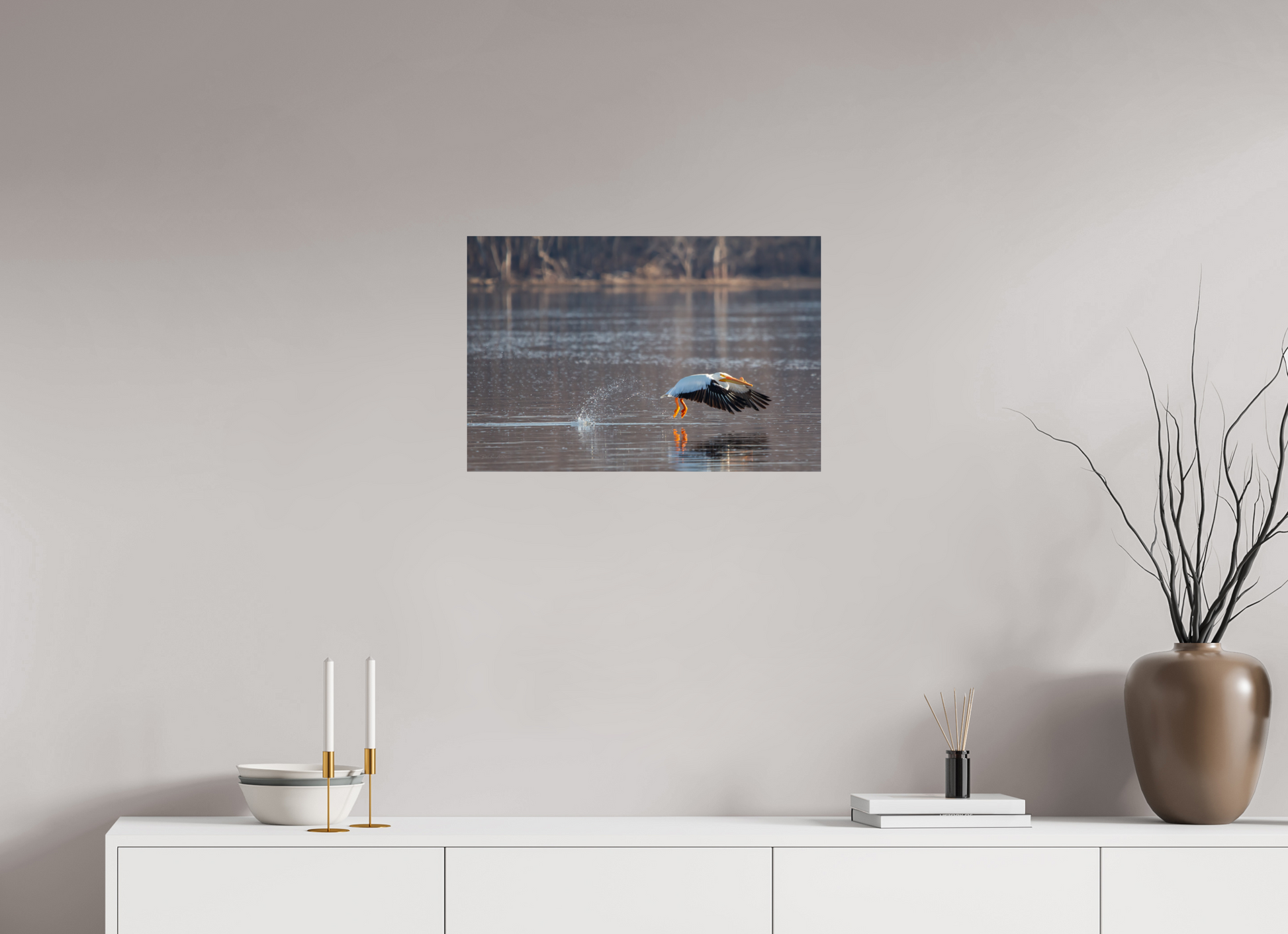 Pelican Taking Flight - Print Only